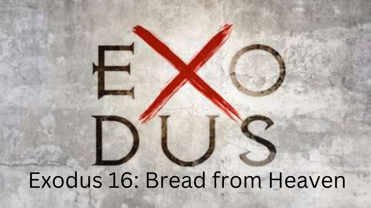 Exodus 16: Bread Form Heaven - Kingston Alliance Church